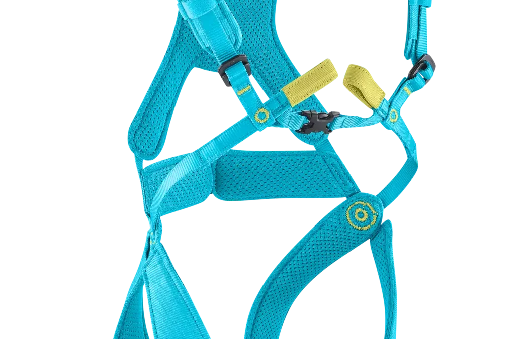 FRAGGLE Komplettgurt bis 40 kg | EDELRID | Size: ‚XS‘ | Colour: icemint