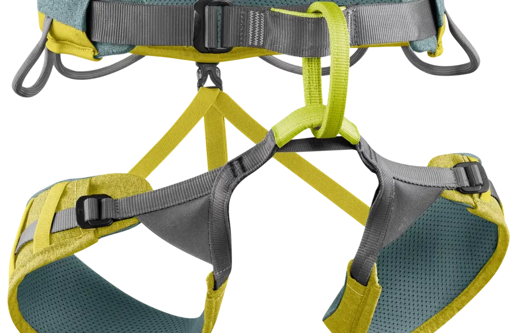 JAY Sitzgurt | EDELRID | Size: ‚L‘ | Colour: wasabi